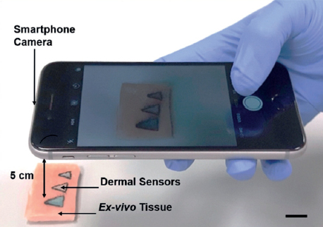 Biosensoren: Smartphone-Aufnahmen