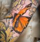 Schmetterling-Tattoo von Carina Anne