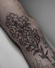 Tattoo von Gil / sacredlamb.ttt