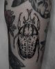 Tattoo von Gil / sacredlamb.ttt